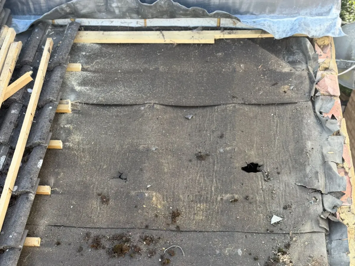 Deteriorated roofing membrane with a visible hole beneath removed tiles